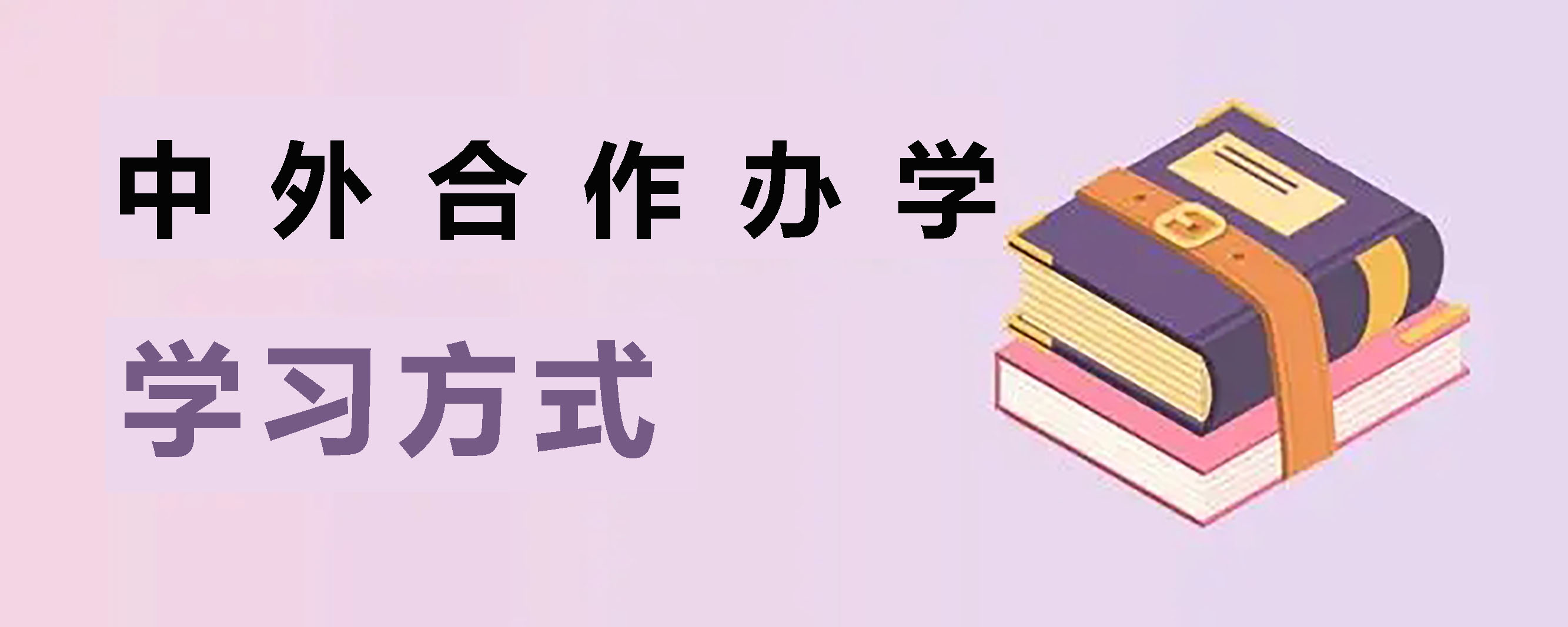 中外合作办学（国际硕士）.jpg
