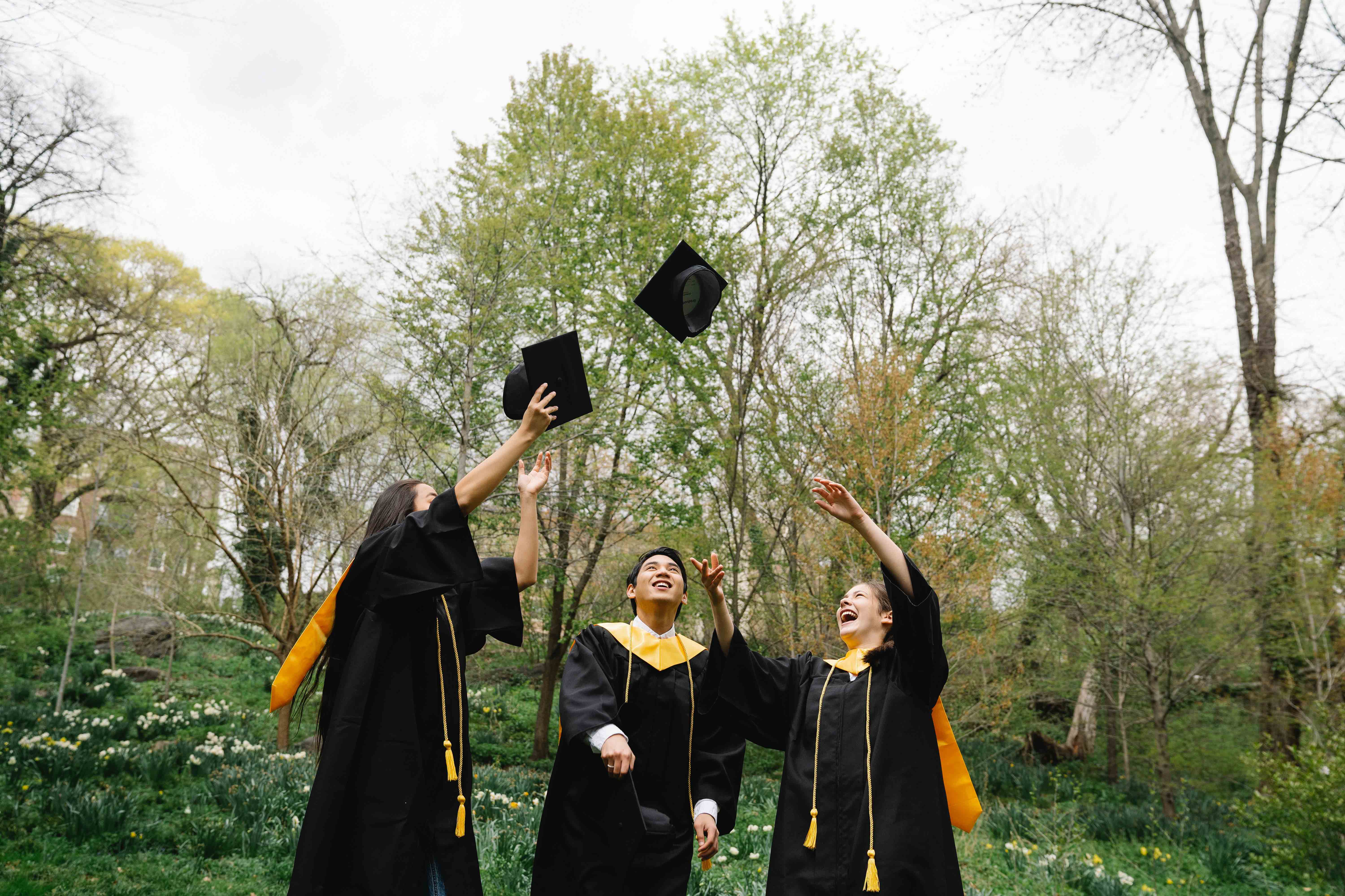 上海璐斐在职学历提升 上海璐斐在职学历提升