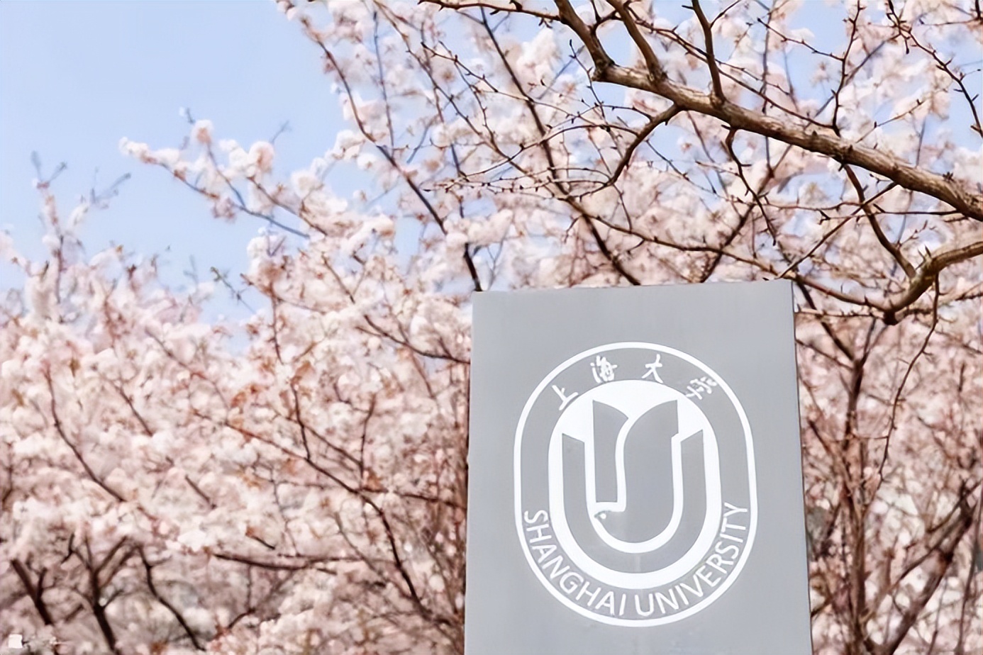 上海大学中外合作项目
